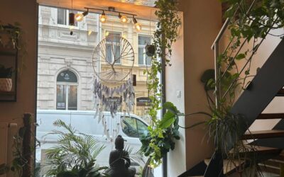 ESG audity a externí ESG manažer aneb Udržitelnost bez starostí